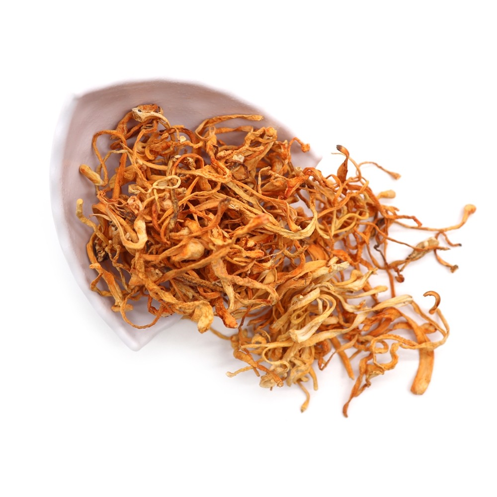 A plate of Cordyceps