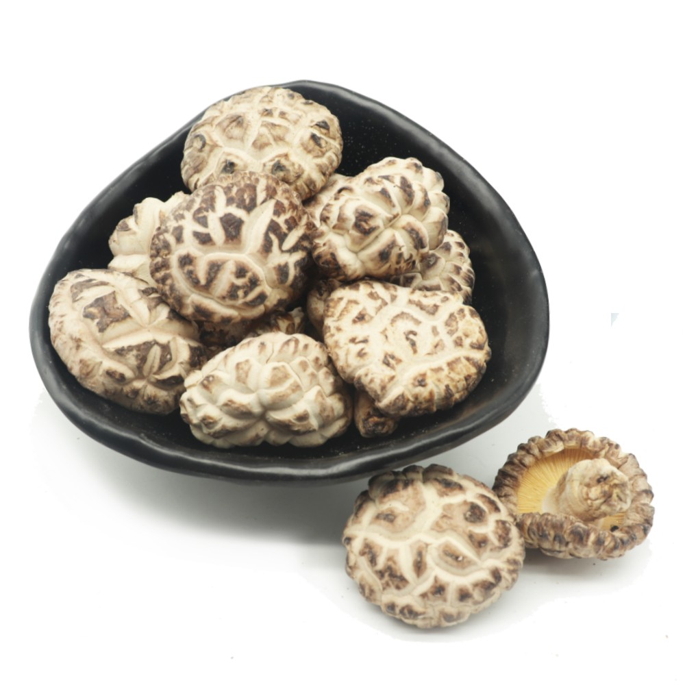 LU SHAN YUAN MU SKY WHITE FLOWER MUSHROOM (3-4 CM)