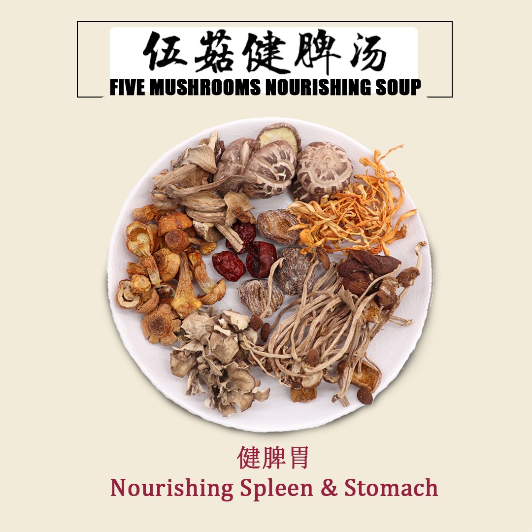 FIVE MUSHROOMS NOURISHING SOUP