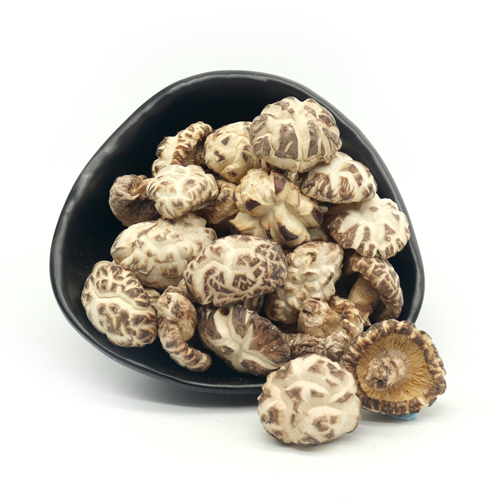 HW LU SHAN YUAN MU SKY WHITE FLOWER MUSHROOM (2-3 CM)