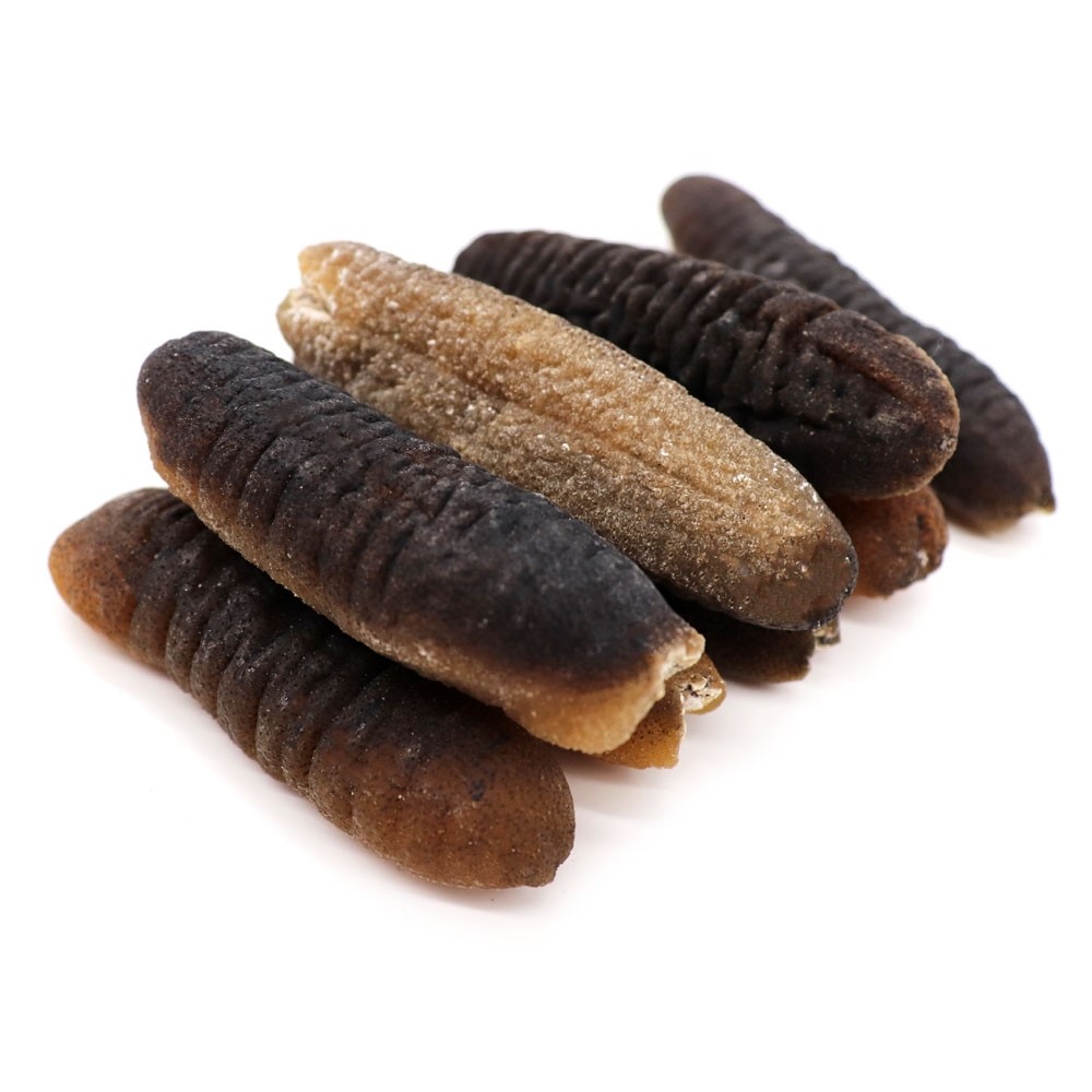 GOLDEN HILL SEA CUCUMBER (20-30 PIECES/KG) - DRIED SEAFOOD - Shop