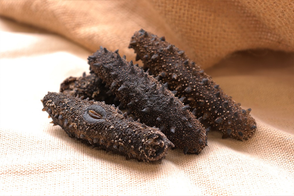 HOKKAIDO PRICKLY SEA CUCUMBER (3L)