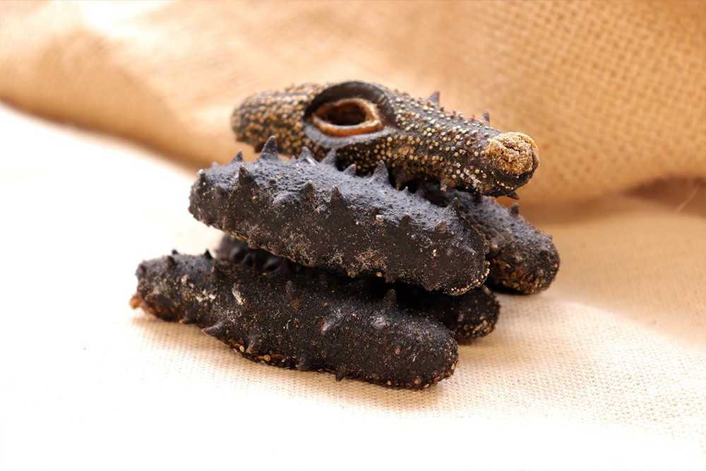 (80 PCS) FUJIAN PRICKLY SEA CUCUMBER 