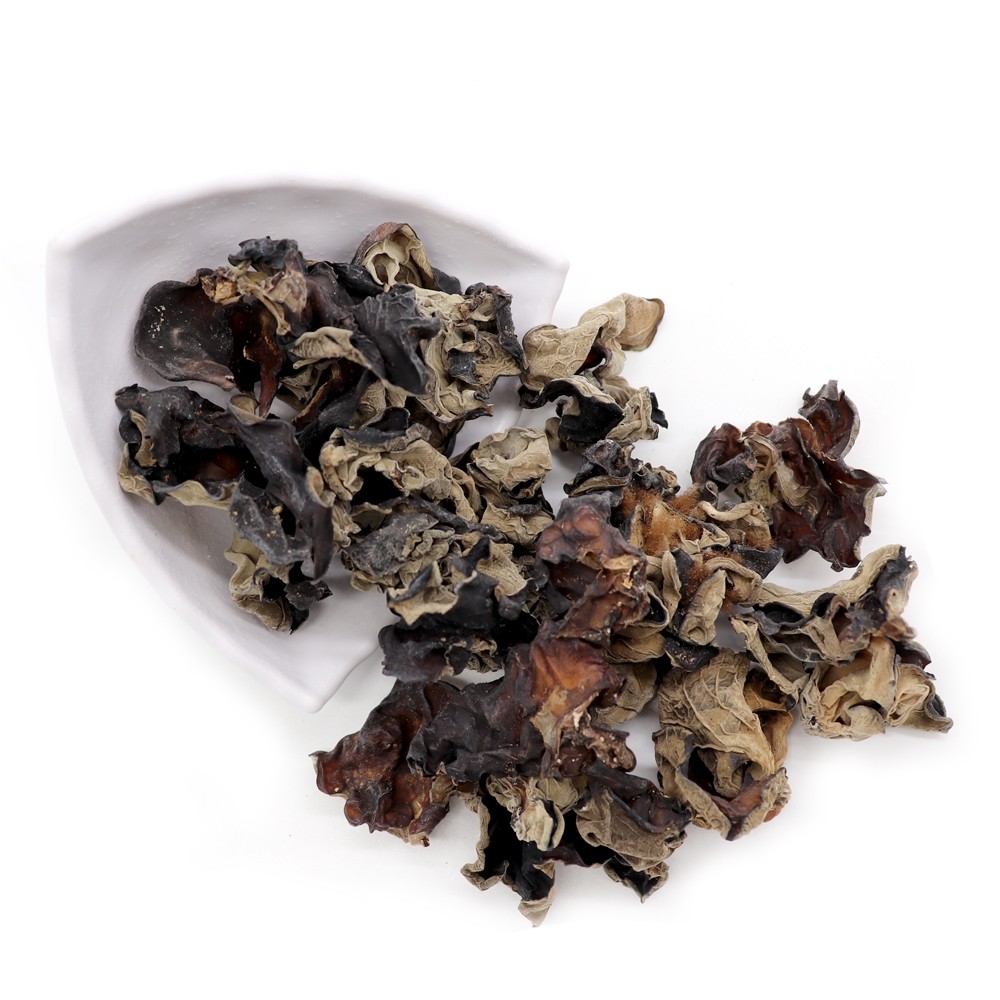 BLACK FUNGUS (TOP GRADE)