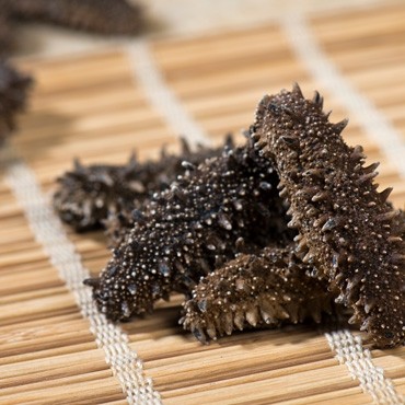 HOKKAIDO PRICKLY SEA CUCUMBER (L)