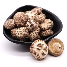 DUAN MU WHITE FLOWER MUSHROOM (2-3 CM) 