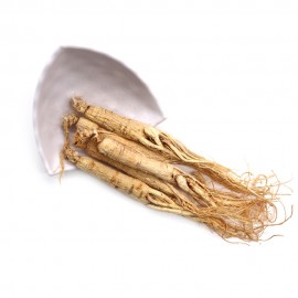 JILIN GINSENG 