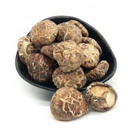 PREMIUM STEM CUT TEA FLOWER MUSHROOM (4-5CM)