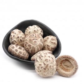 SAA1 STEMLESS CHINA WHITE FLOWER MUSHROOM (3-4CM)