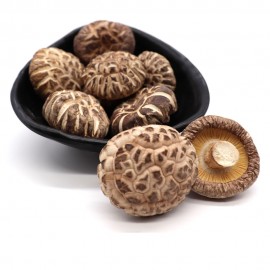 HW LU SHAN YUAN MU TEA FLOWER MUSHROOM (4-5CM)