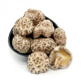 FANG MU WHITE FLOWER MUSHROOM (4-5 CM)
