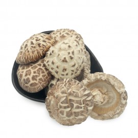 LU SHAN YUAN MU WHITE FLOWER MUSHROOM (4-5CM)