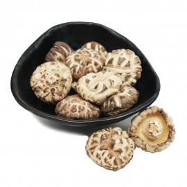 HW WHITE FLOWER MUSHROOM (3-4CM)