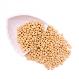 SOYA BEAN