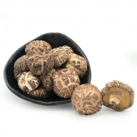 HW LU SHAN YUAN MU TEA FLOWER MUSHROOM (3-4CM)
