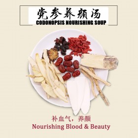 CODONOPSIS NOURISHING SOUP