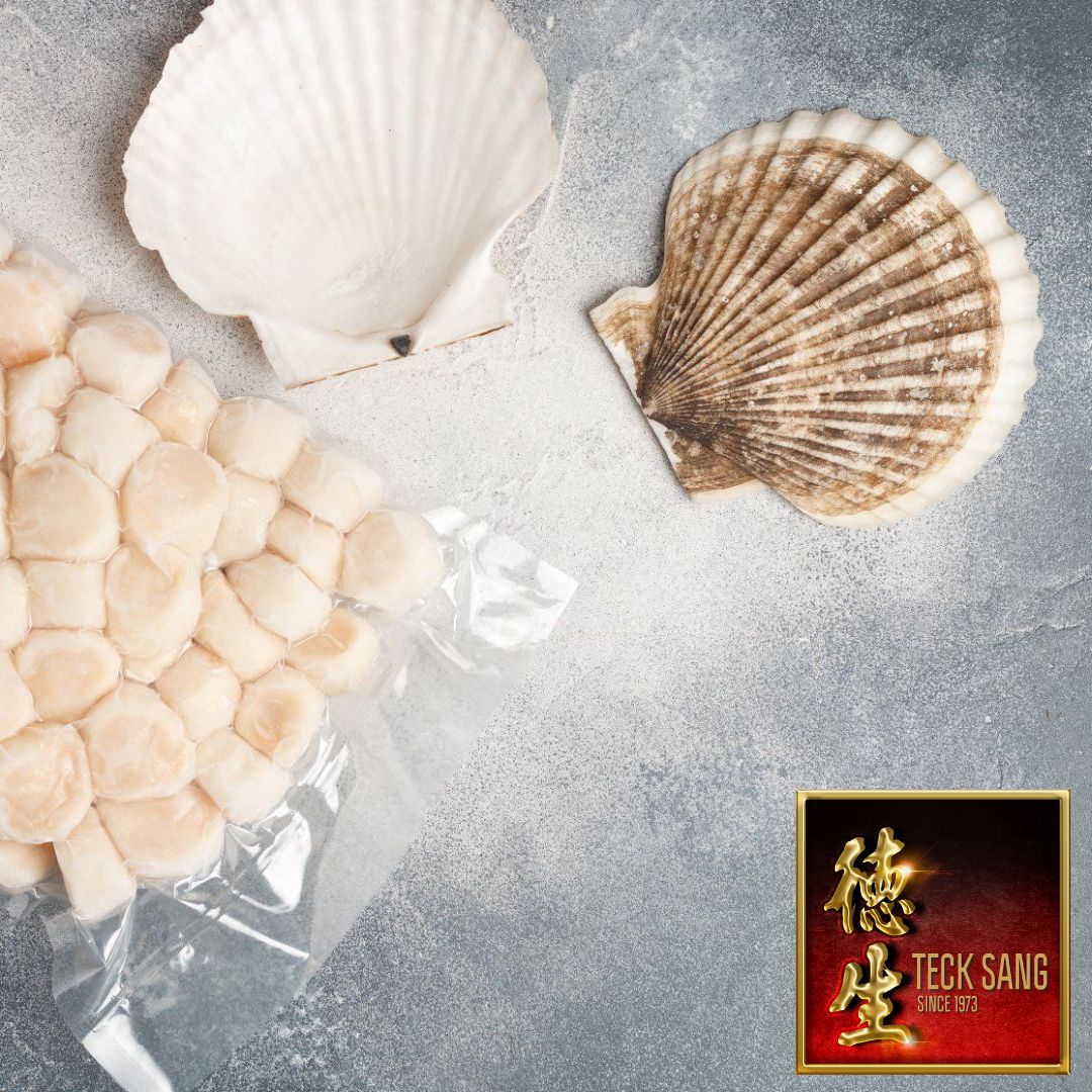 frozen dried scallops from Teck Sang 