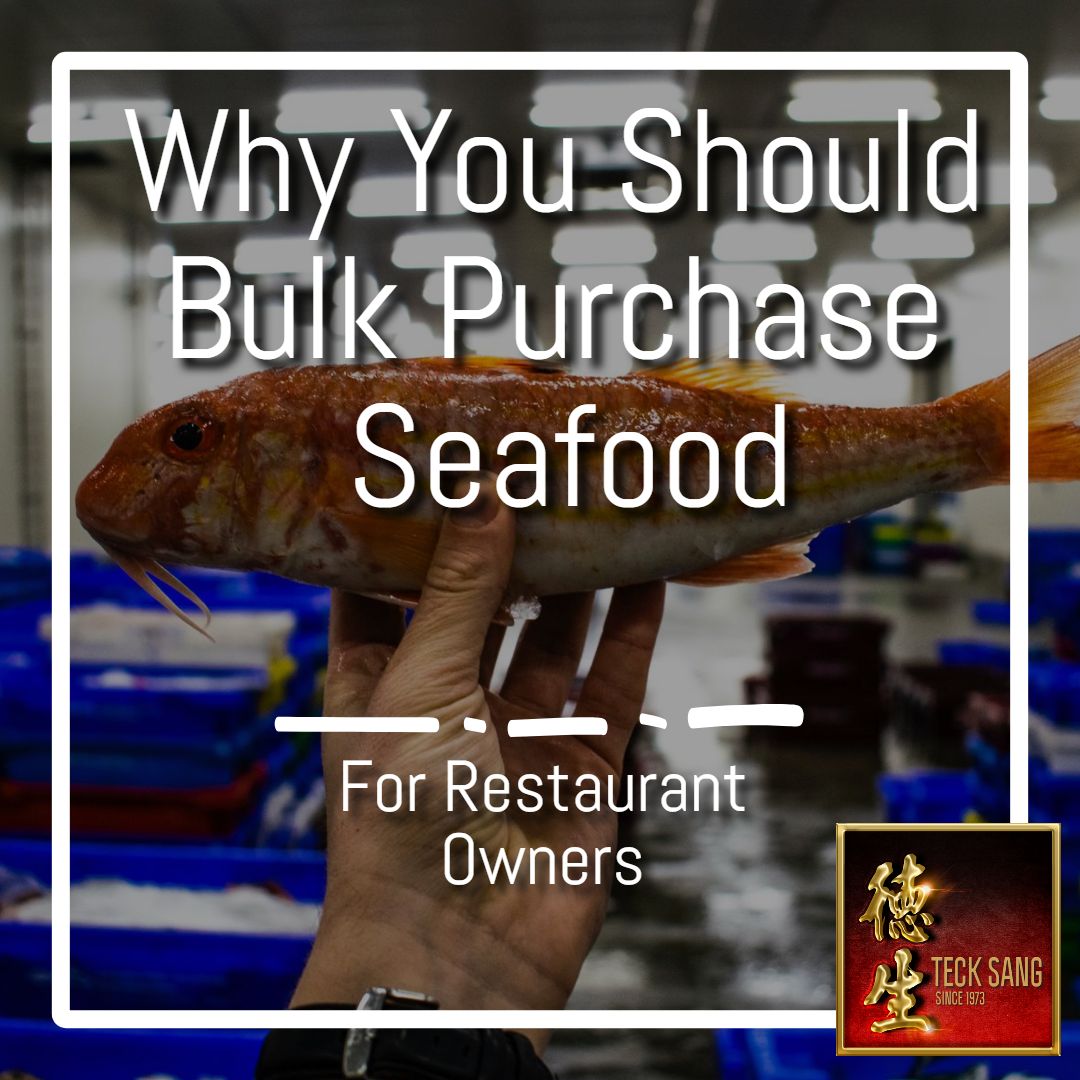 Best Dried Seafood Wholesale Bulk Purchasing Distributor